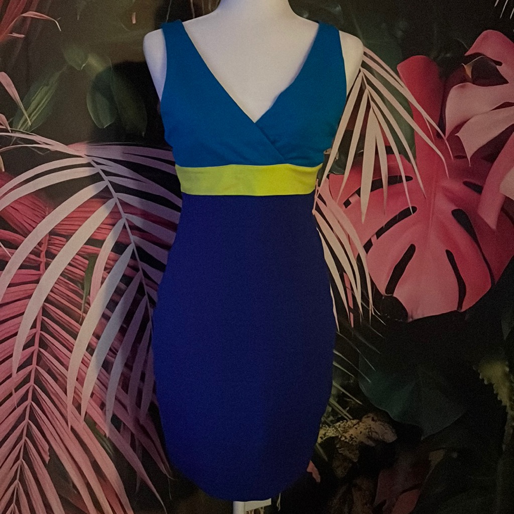 Express Bodycon Bandage Mini Dress